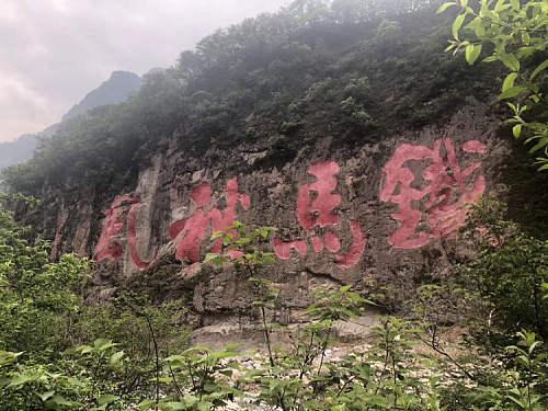 三四兄弟吉吉来，铁马秋风气如山打一正确生肖的警惕虚假宣传-前沿解答解释落实